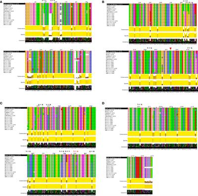 A bias of Asparagine to Lysine mutations in SARS-CoV-2 outside the receptor binding domain affects protein flexibility